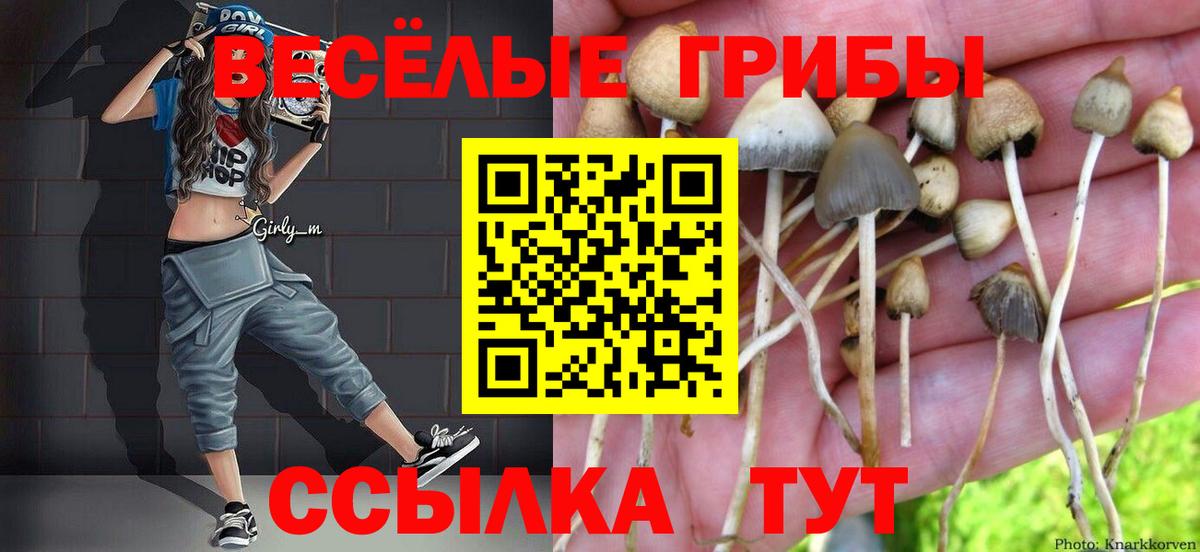 Псилоцибиновые грибы Magic Shrooms  Вход с VPN  Назрань 